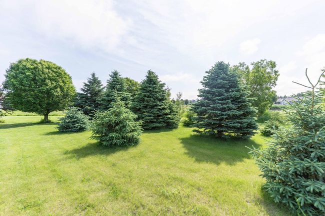 Backyard | Image 12