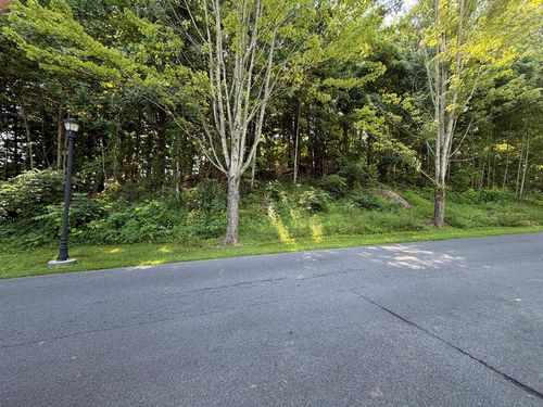 TBD Virginia Trl, Bristol, VA, 24202 | Card Image