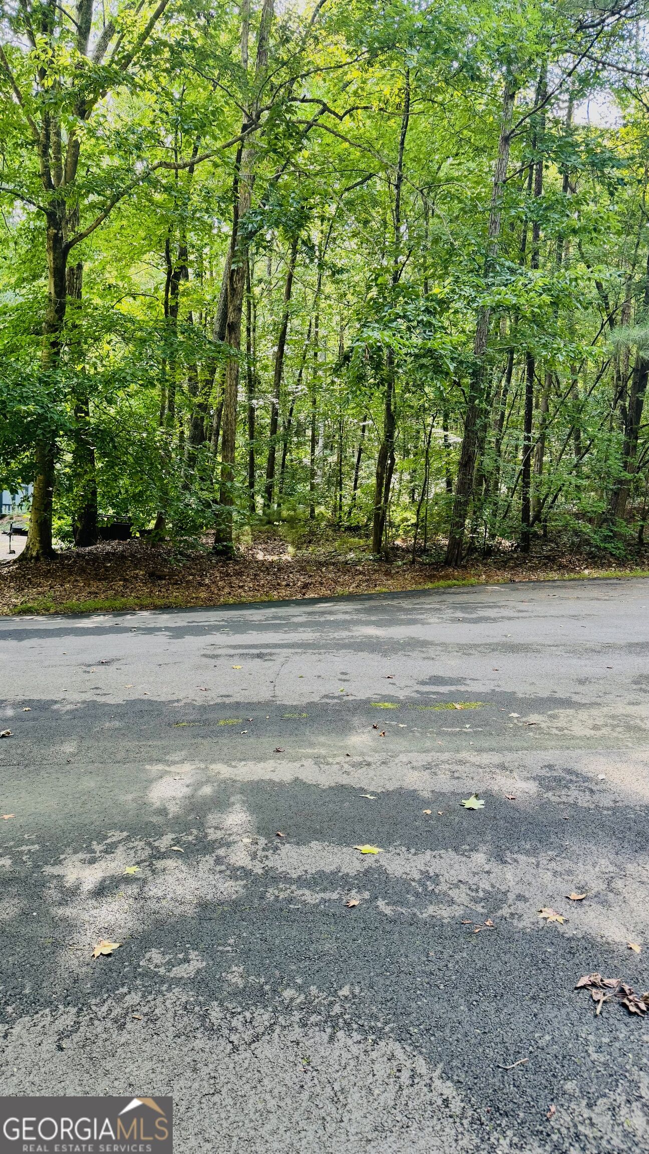 Land in Villa Rica 2
