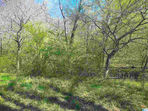 13-0 Fox Run Rd, Oneonta, AL, 35121 | Card Image