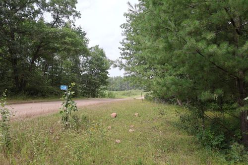 XXXX Sherwood Street, Brook Park, MN, 55007 | Card Image