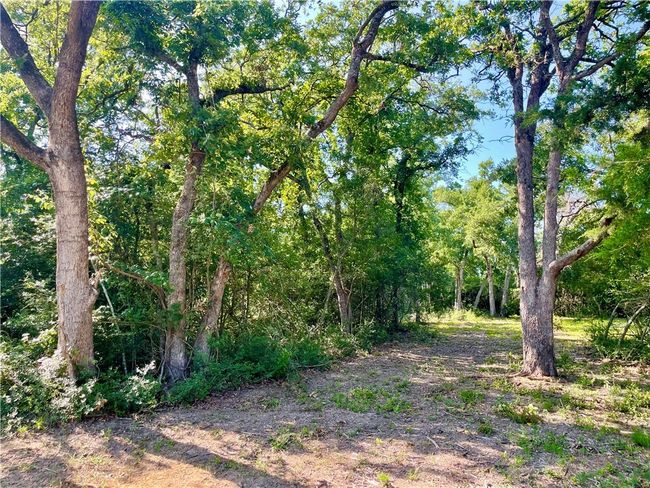 9264 Stetson Drive, Home with 0 bedrooms, 0 bathrooms and null parking in Normangee TX | Image 18
