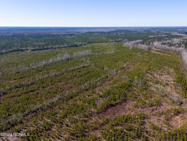 00 Sykes Town Rd, Home with 0 bedrooms, 0 bathrooms and null parking in Currie NC | Image 10