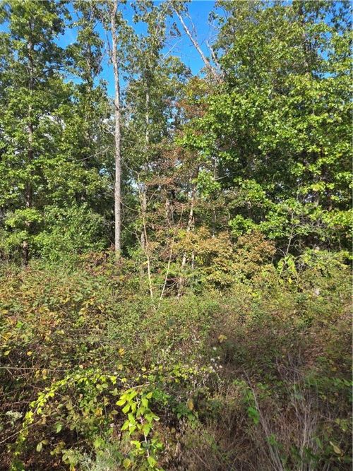 40 Glyndebourne Dr, Bella Vista, AR, 72714-2903 | Card Image