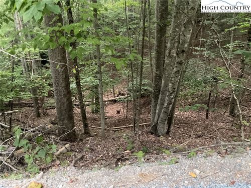 145 Raccoon Rd, Beech Mountain, NC, 28604-8170 | Card Image