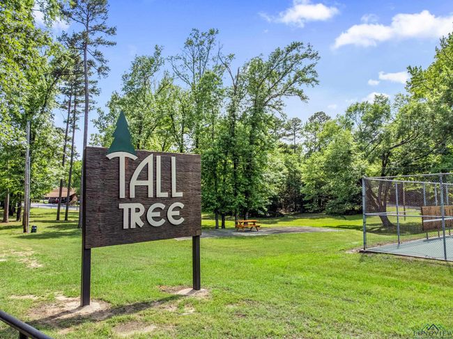 255 Spring Creek Dr, Home with 0 bedrooms, 0 bathrooms and null parking in Mt Vernon TX | Image 11