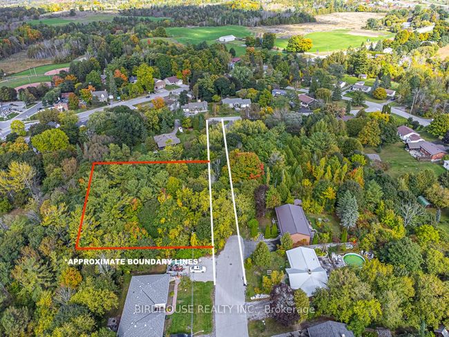 0 Church St, Home with 0 bedrooms, 0 bathrooms and null parking in Fenelon Falls ON | Image 5