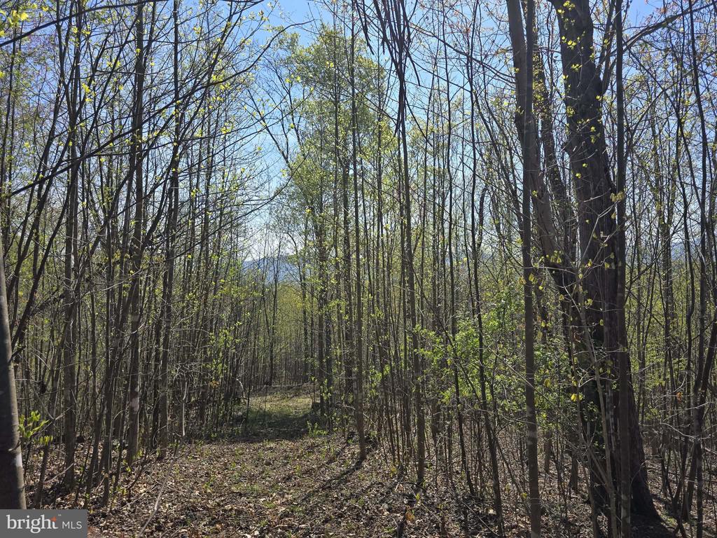 Land in MADISON 4