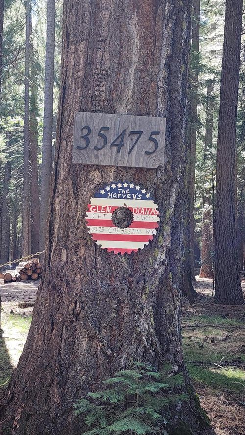 35475 Colossians Way, Shingletown, CA, 96088-9759 | Card Image