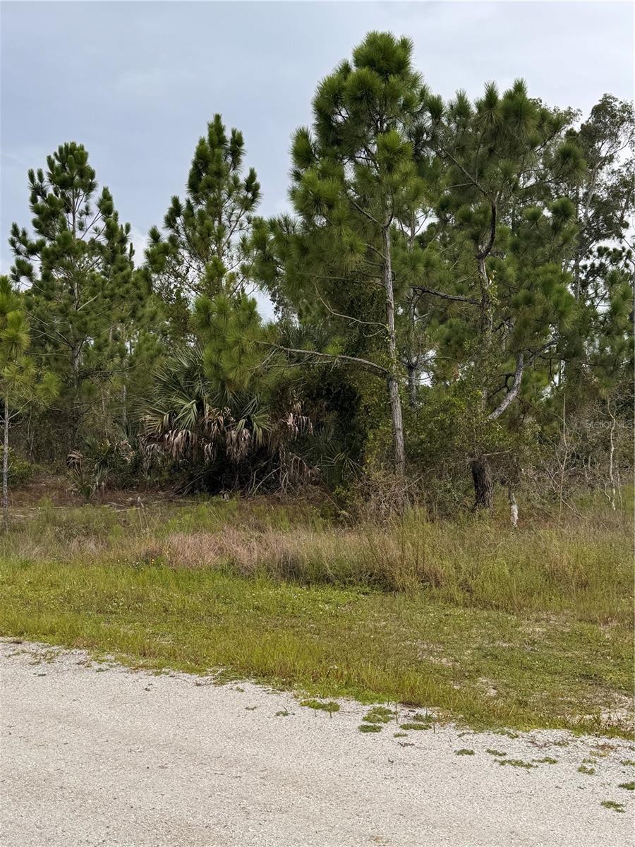 Land in PUNTA GORDA