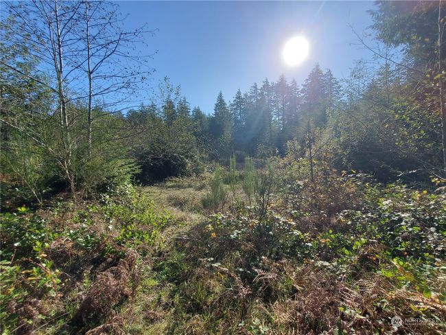 36602 Stackpole Rd, Home with 0 bedrooms, 0 bathrooms and null parking in Oysterville WA | Image 5