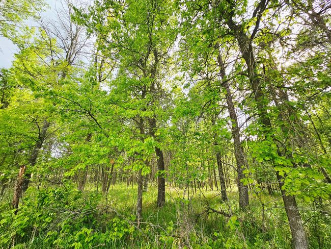 20470 220 Th St, House other with 3 bedrooms, 3 bathrooms and null parking in Verndale MN | Image 59