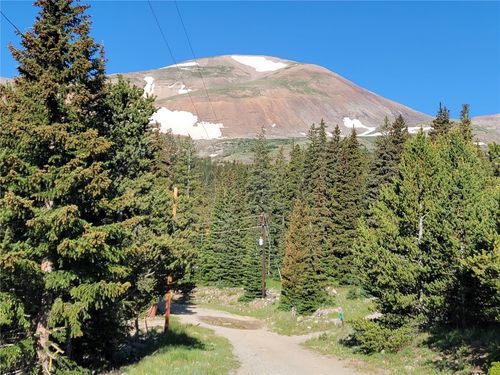 22 Ron'S Rd, ALMA, CO, 80420 | Card Image