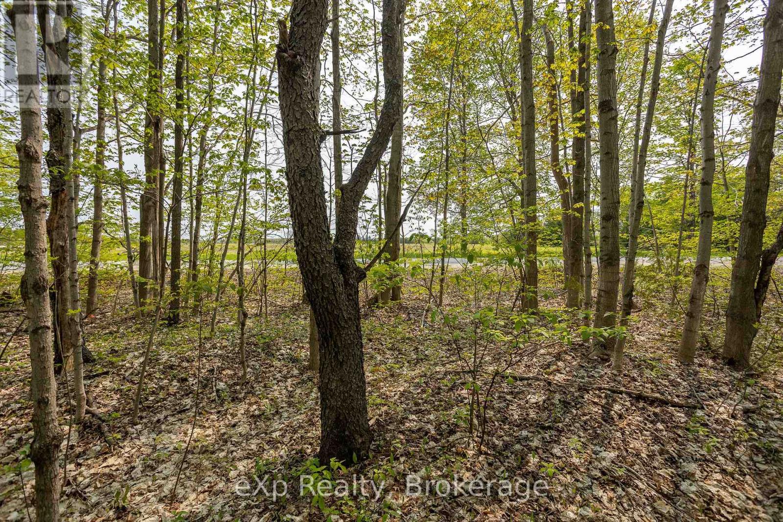 Land in Chatsworth 2