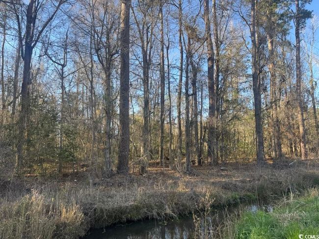 2135 Highway 646, Home with 0 bedrooms, 0 bathrooms and null parking in Green Sea SC | Image 6