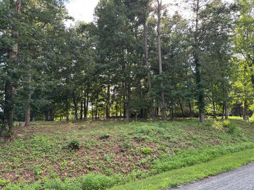 59 Macgregor Dr, Blue Ridge, VA, 24064-1525 | Card Image