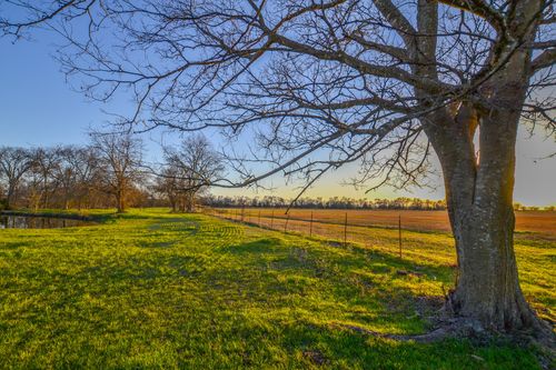 1392 E Us Highway 69, Point, TX, 75472-5878 | Card Image