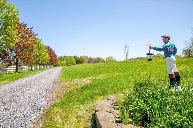 View of dirt / gravel driveway | Image 49