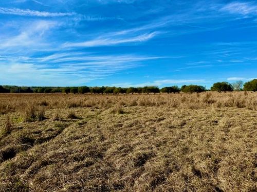 Lot 103 E Lakeland Ct, Hillister, TX, 77624 | Card Image