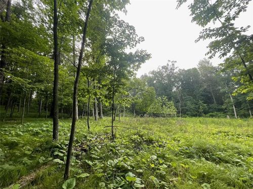 Lot's 4, 5 &amp; 6 Anderson Hill Lane, Boyceville, WI, 54725 | Card Image