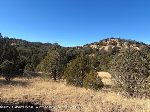 Lot 110 Rio Chama Dr, Alto, NM, 88312 | Card Image