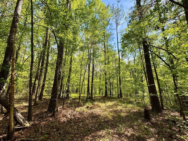 0 Ga Highway 87, Home with 0 bedrooms, 0 bathrooms and null parking in Juliette GA | Image 19