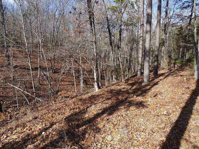 1163 Fee Hollow Ter, House other with 4 bedrooms, 3 bathrooms and null parking in Yellville AR | Image 14