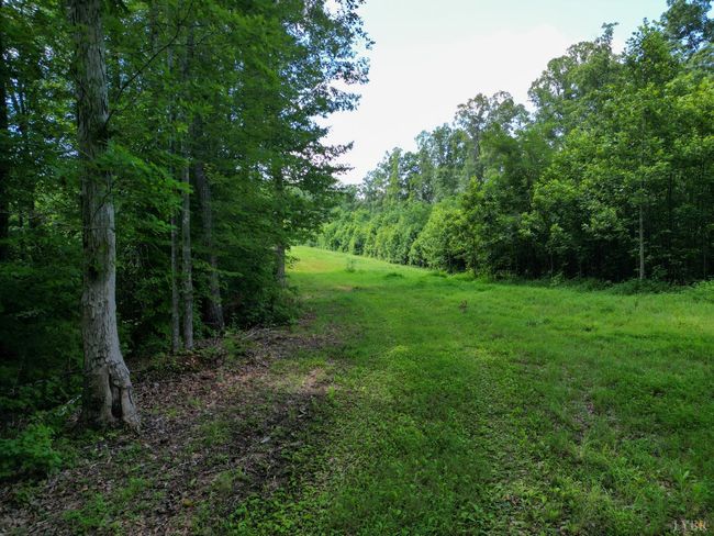 0 Allens Creek Rd, Home with 0 bedrooms, 0 bathrooms and null parking in GLADSTONE VA | Image 16