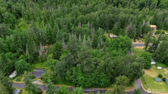 0 Index Ave, Home with 0 bedrooms, 0 bathrooms and null parking in Index WA | Image 8