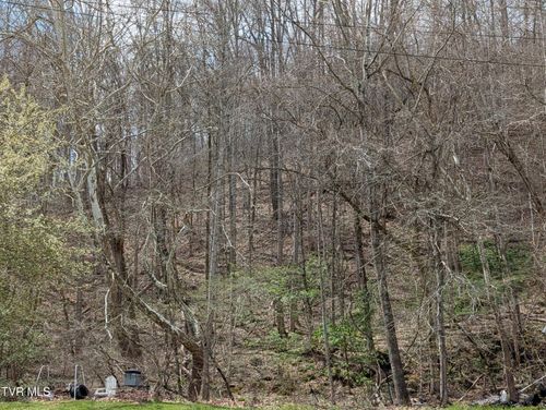 Tbd Cliff Mountain Way, Duffield, VA, 24244 | Card Image
