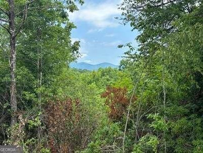 667 Long Branch Rd, Home with 0 bedrooms, 0 bathrooms and null parking in Marble NC | Image 20