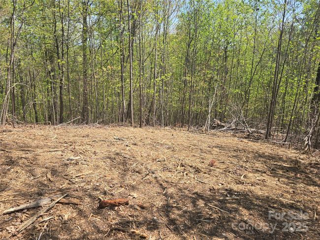 Lot 32 High Rock Rdg, Home with 0 bedrooms, 0 bathrooms and null parking in Lake Lure NC | Image 7