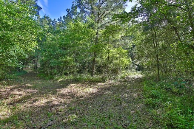 6320 Medley Rd, House other with 3 bedrooms, 2 bathrooms and null parking in New Waverly TX | Image 7