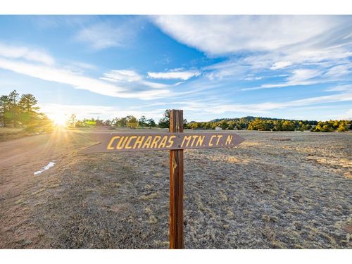 120 N Cucharas Mountain Ct, Livermore, CO, 80536-8616 | Card Image