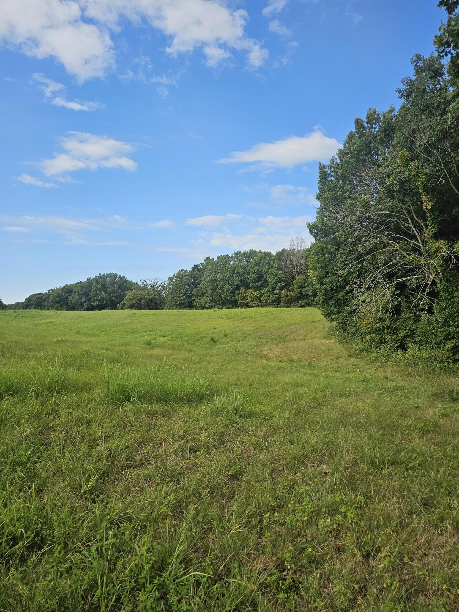 Land in FAYETTE 3