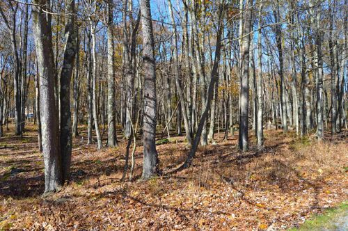 181 E Alpine Dr, Terra Alta, WV, 26764 | Card Image