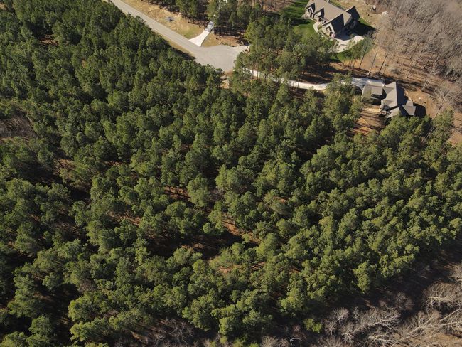 80 High Point Ln, Home with 0 bedrooms, 0 bathrooms and null parking in Jasper TN | Image 134