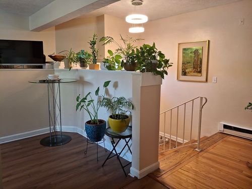 apt-2-221-217 Highland Ave, Malden, MA, 02148-6446 | Card Image