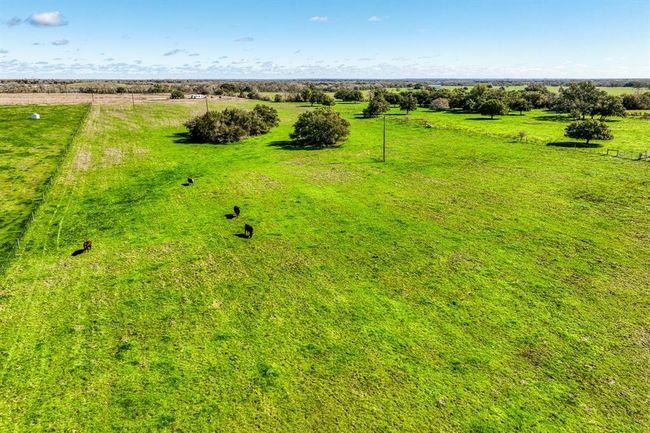 7260 Goehring Rd, Home with 0 bedrooms, 0 bathrooms and null parking in Ledbetter TX | Image 5