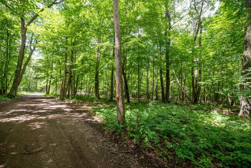 TBD Guilford Rd, Deerwood, MN, 56444 | Card Image