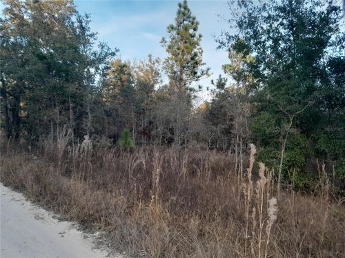 1531 Ne 123rd Ave, WILLISTON, FL, 32696 | Card Image