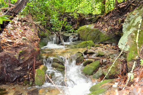 Lot H Speckled Feather Pass, Sapphire, NC, 28774 | Card Image