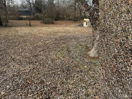 2523 Shady Ln, Poplar Bluff, MO, 63901-2110 | Card Image