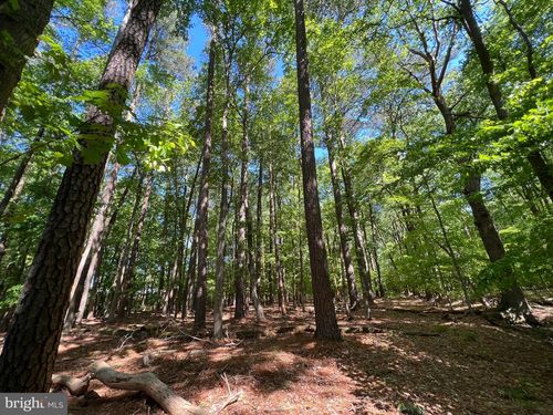 Parcel 40 Revells Neck Road, WESTOVER, MD, 21871 | Card Image