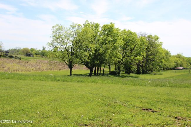 1384 Highway 1066, Home with 4 bedrooms, 3 bathrooms and null parking in Bloomfield KY | Image 25