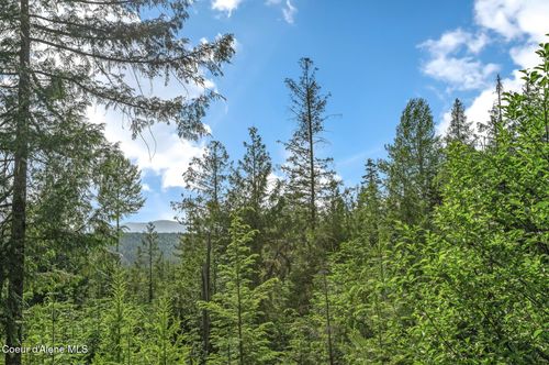 245 Barbary Trl, Sandpoint, ID, 83864-7049 | Card Image