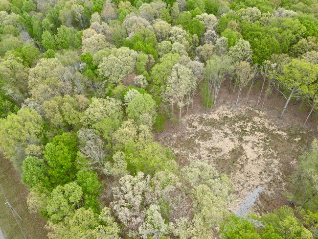 0 Deerwood Dr, Home with 0 bedrooms, 0 bathrooms and null parking in Sewanee TN | Image 43