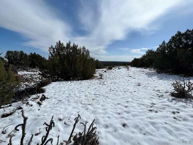 28 Turkey Ridge Rd, Home with 0 bedrooms, 0 bathrooms and null parking in Walsenburg CO | Image 27