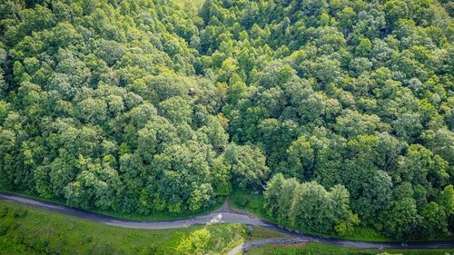 TBD Lynn Springs Rd, Swords Creek, VA, 24649 | Card Image