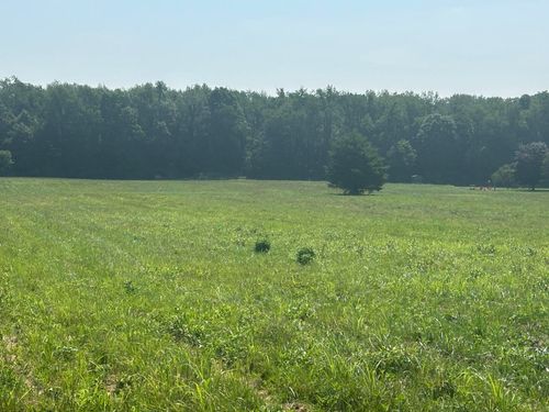 62619 County Road 365 N, Lawrence, MI, 49064-9780 | Card Image